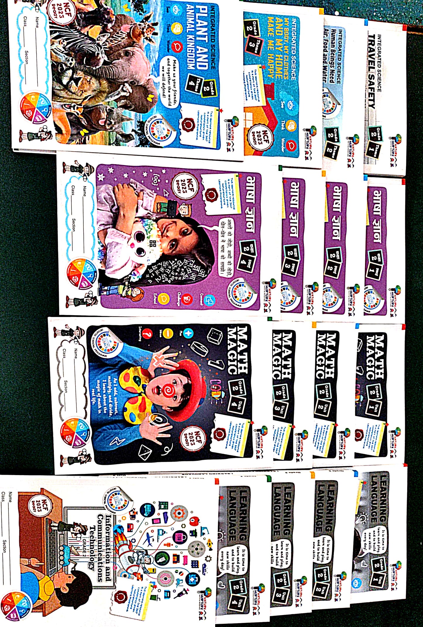 Grade 2 Book Set